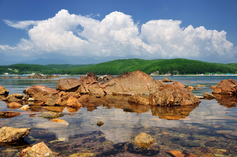 воспоминания о лете