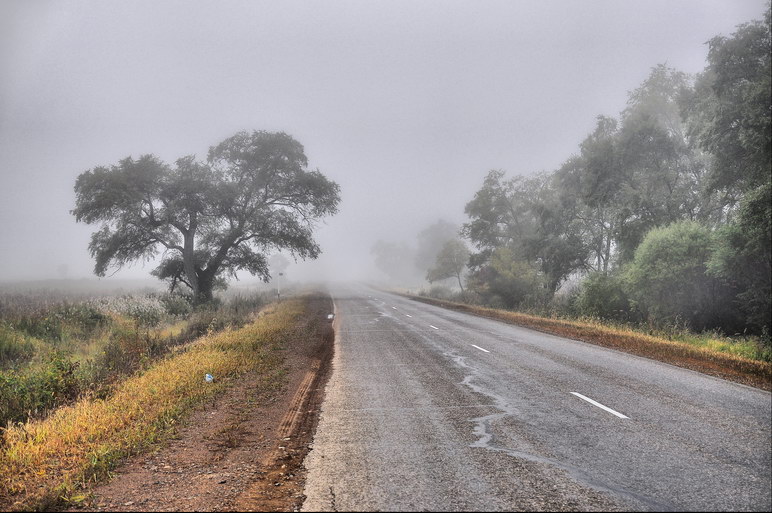 Из серии "Туманы" - Белесый путь