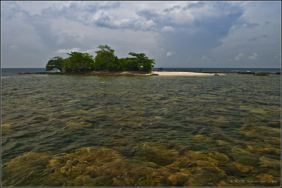 Остров Черепаха