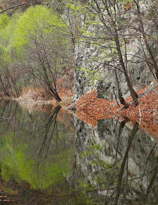 весны отраженье