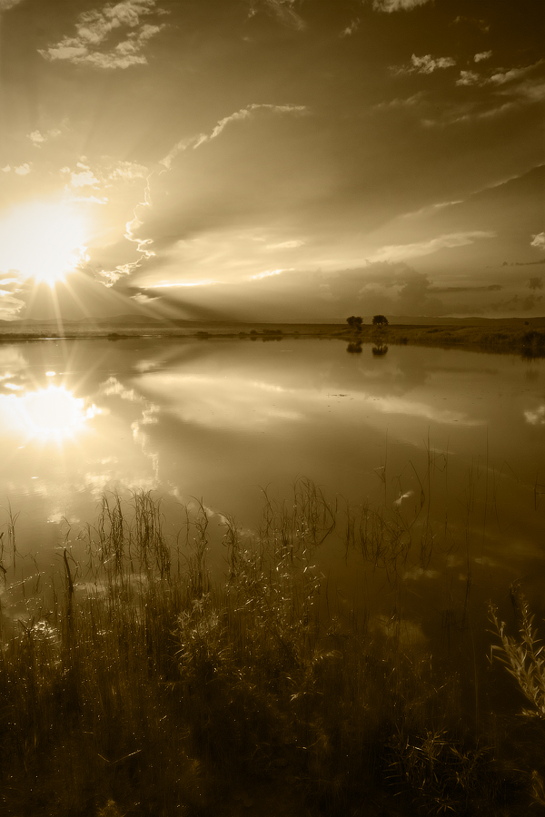 на озере (2)...