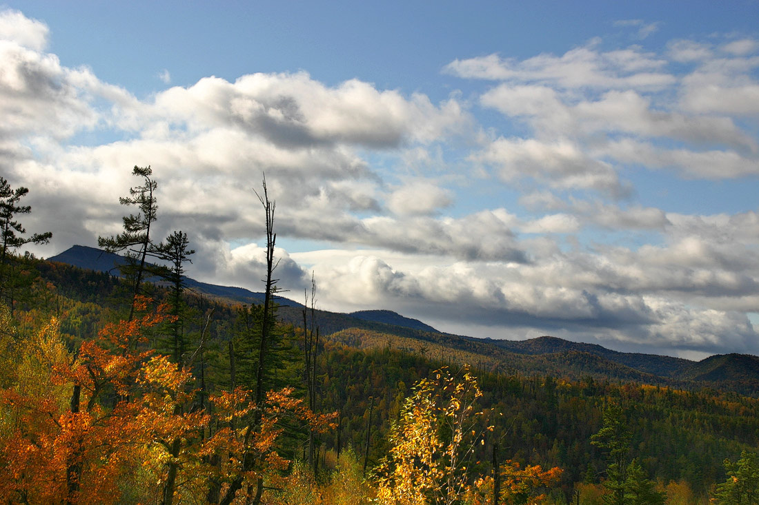 Ветреная осень