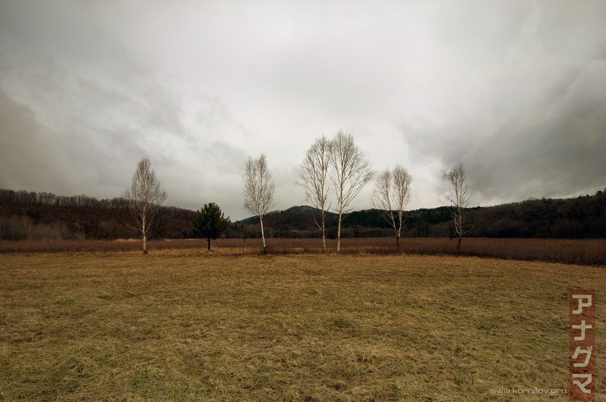 "... на Плющихе."