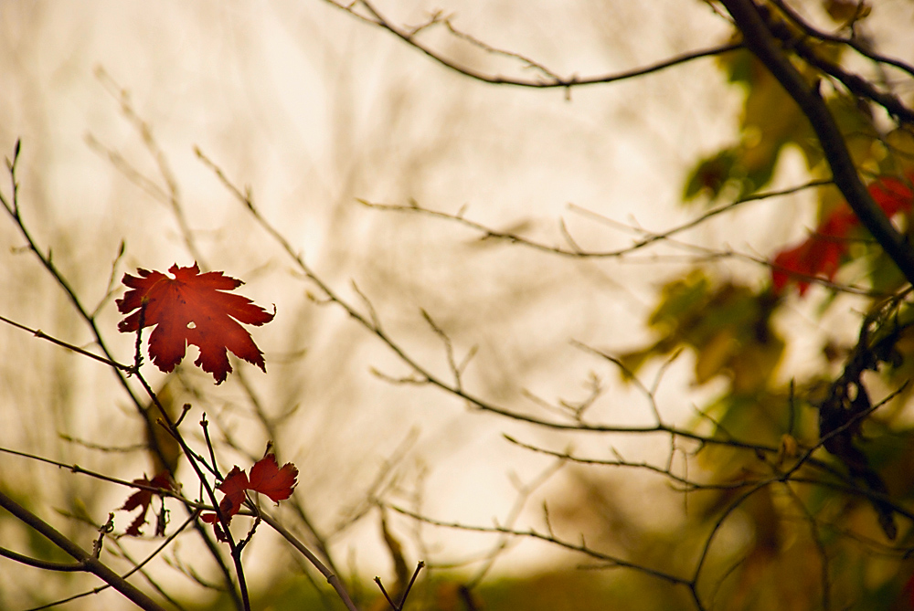 На рассвете