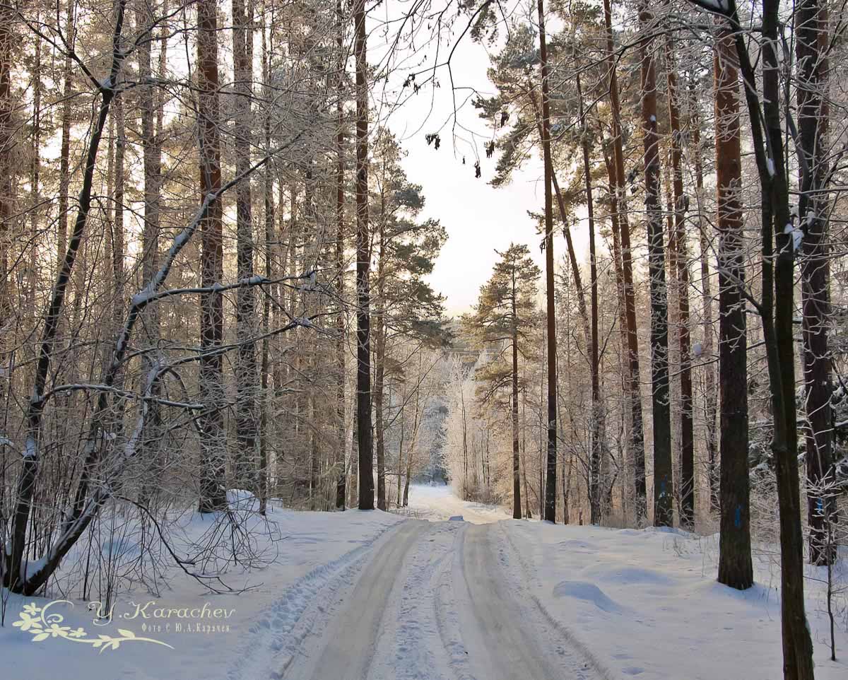 Дороги декабря...