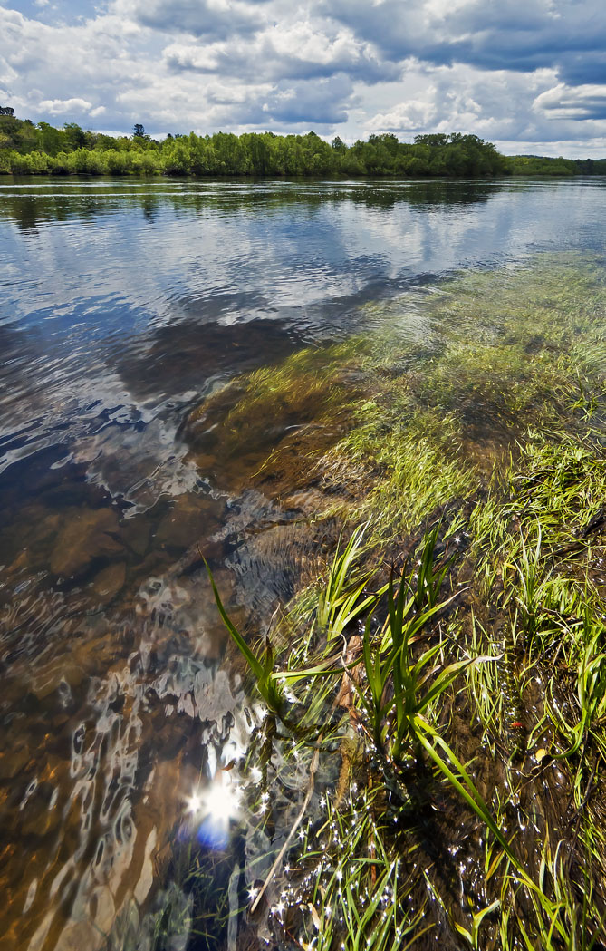 Весенний разлив Бикина