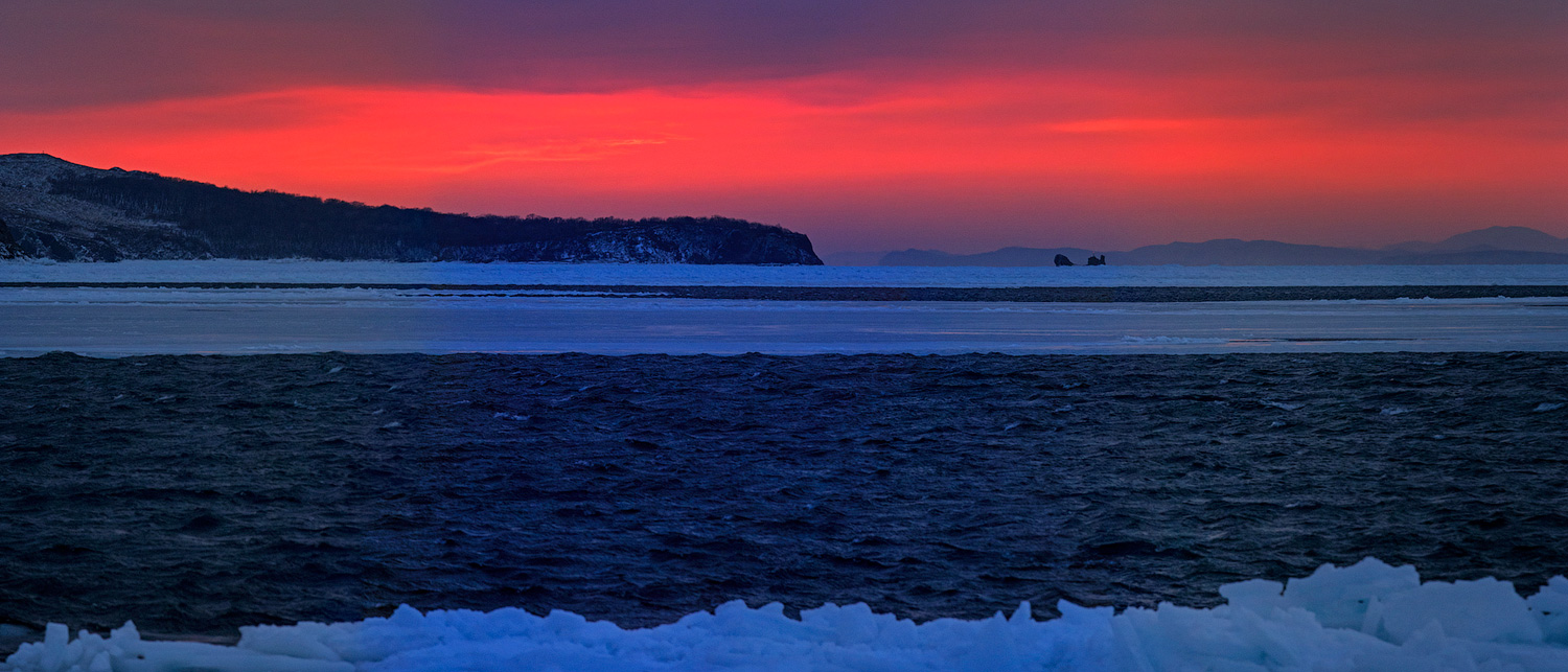 Уши на закате