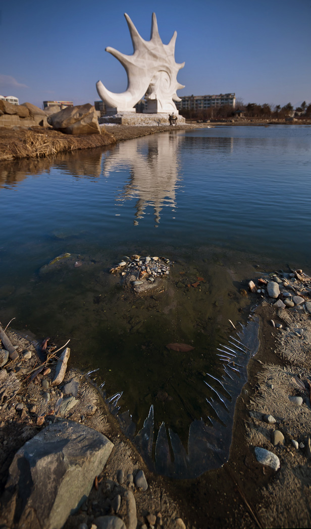 Китайская раковина - не подумайте, что я про сантехнику ;)