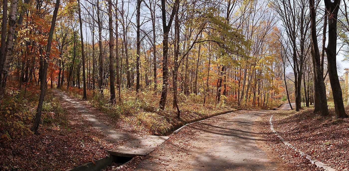 Осенние прогулки