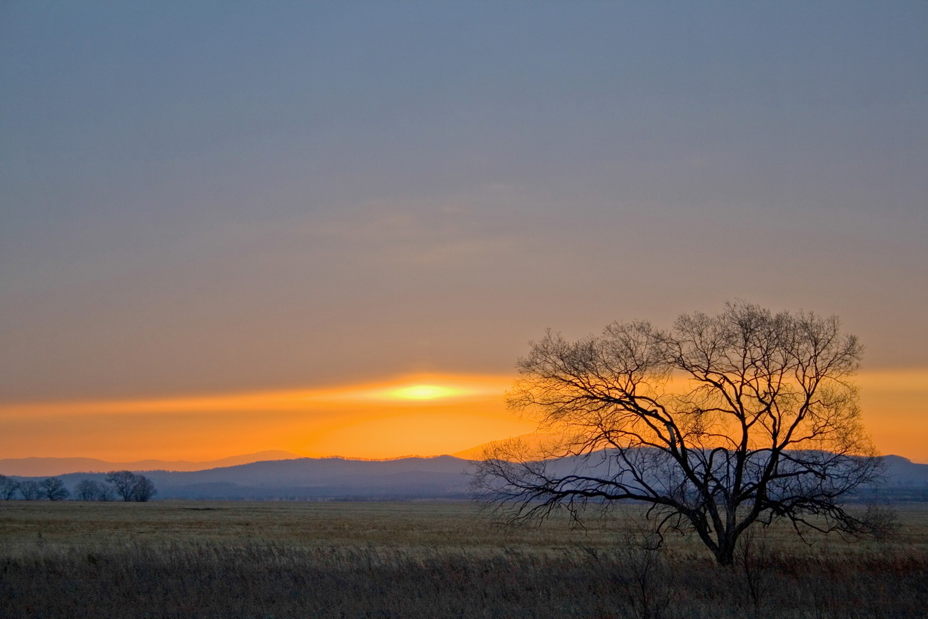 осенний рассвет