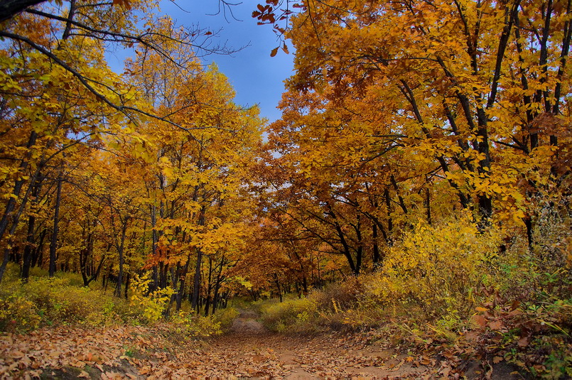 Просто Осень...
