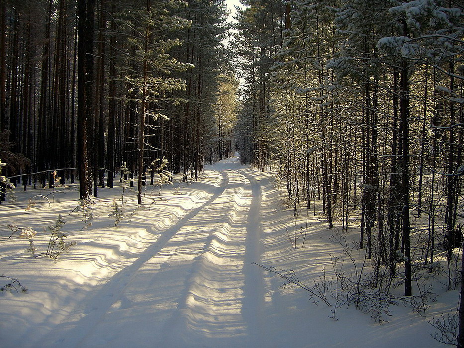 Зимняя дорога
