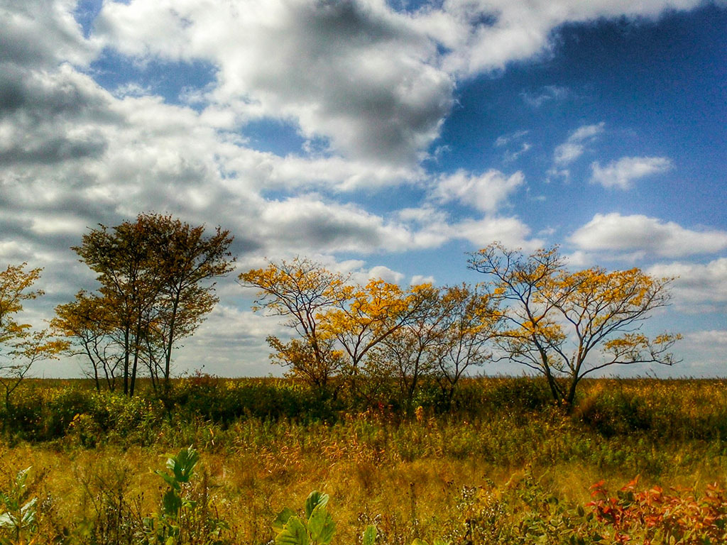 Бархатный сезон