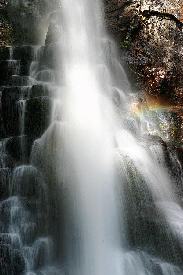 Женщина в белом