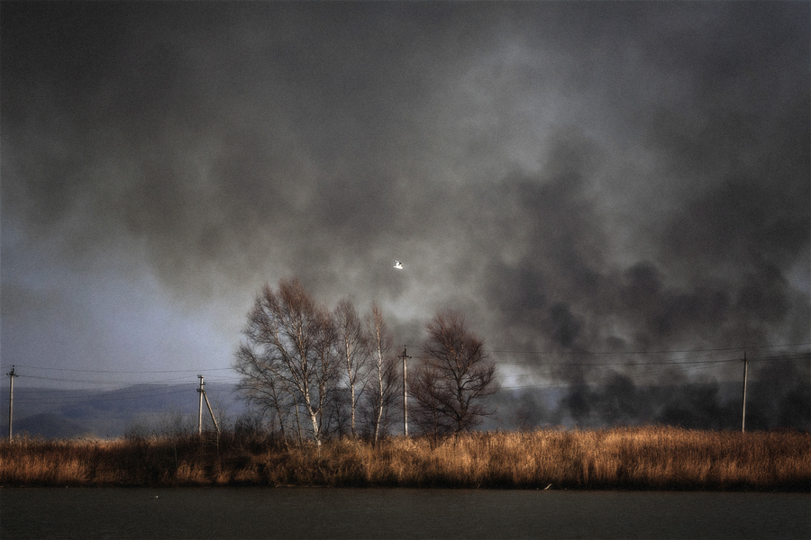 Осенний пал.