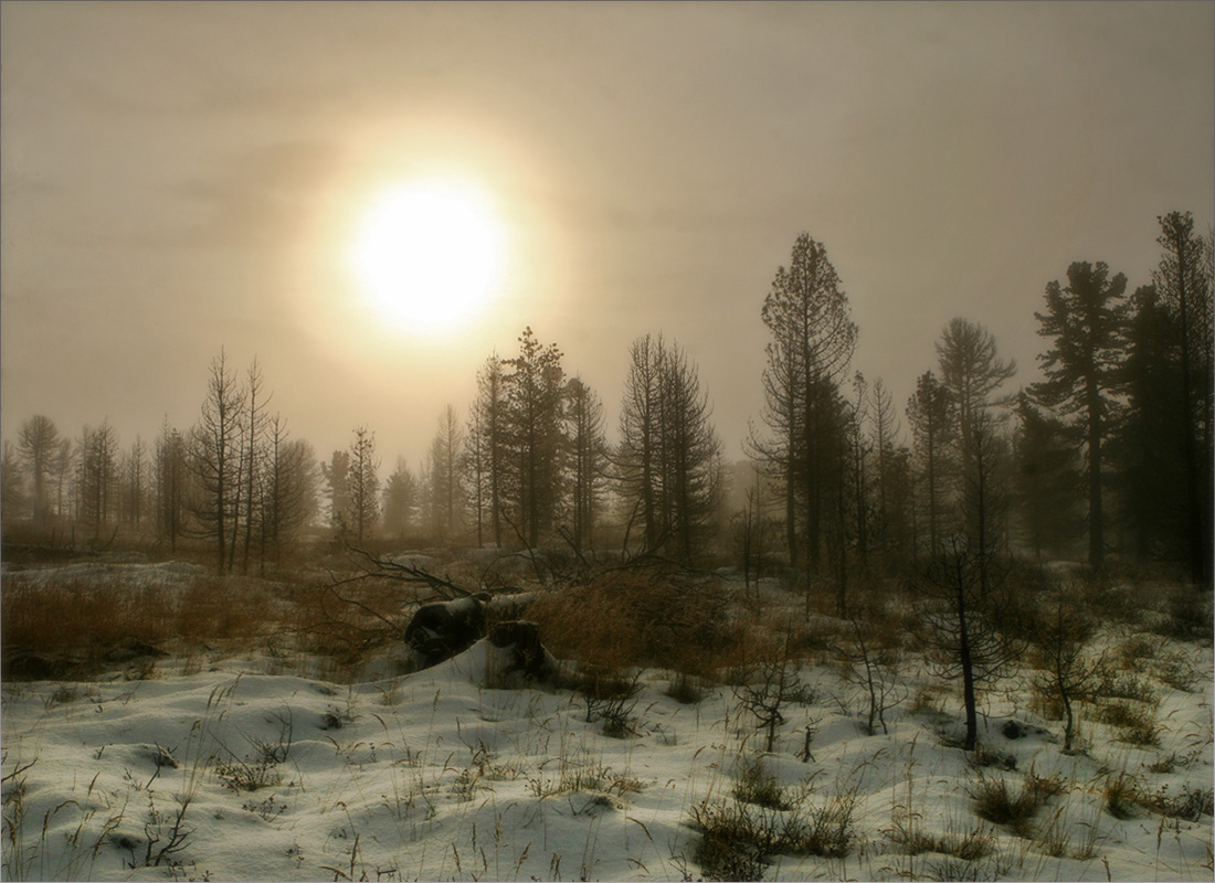 Низкая облочность на водоразделе.