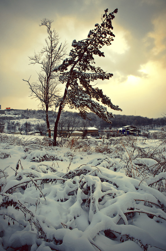 Сказка...она рядом - оглянись!