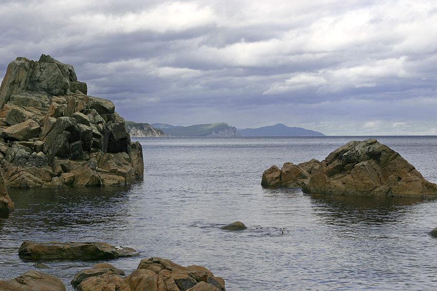 Скучный день