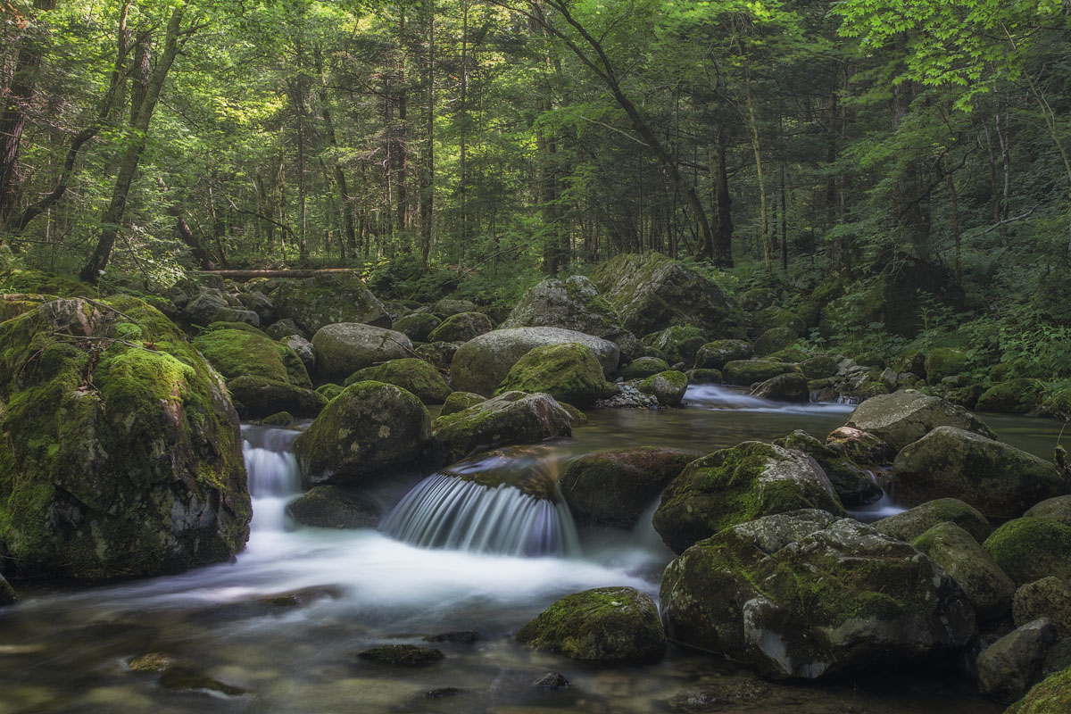 Таёжный ручей.