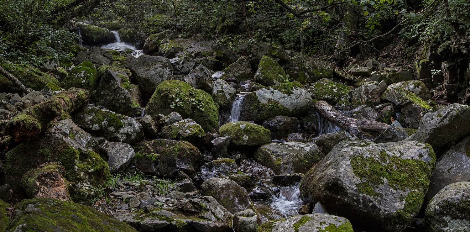 Подкаменная не тунгуска