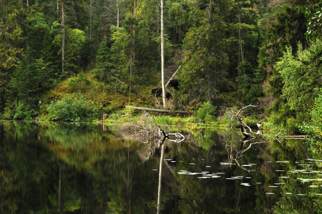 там на неведомых дорожках..