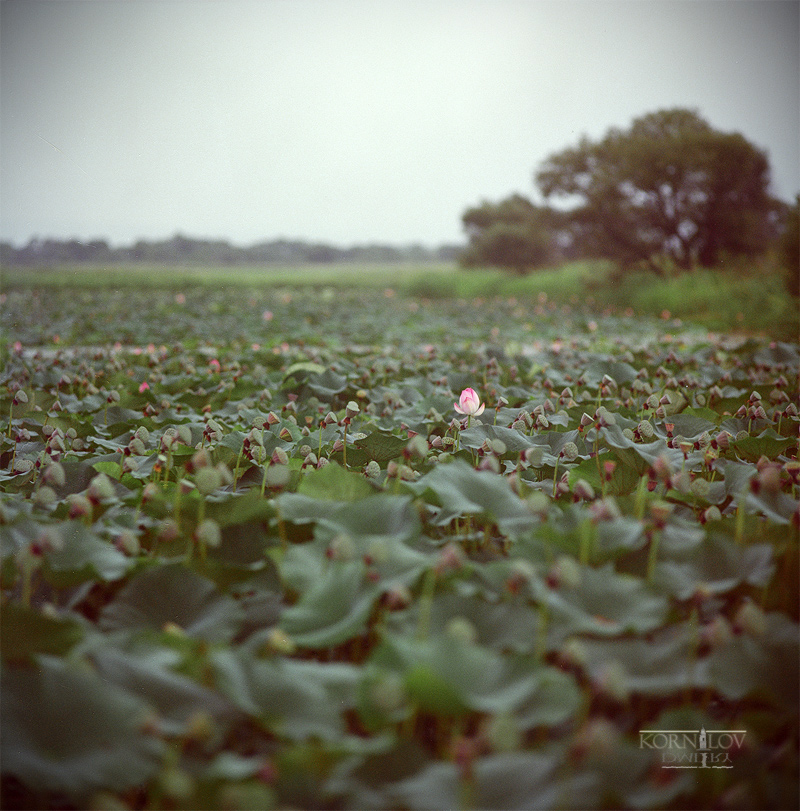 один воин не в поле