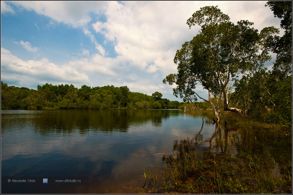 Средняя полоса в тропиках