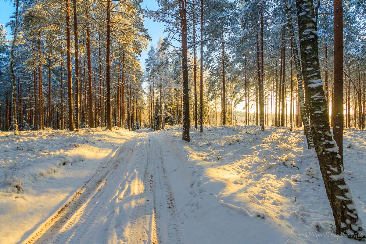 На пути к Солнечному повороту