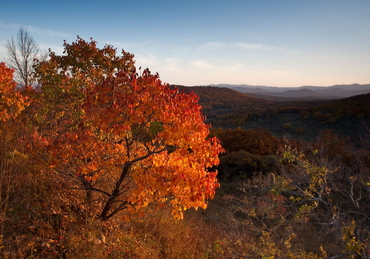 на закате...