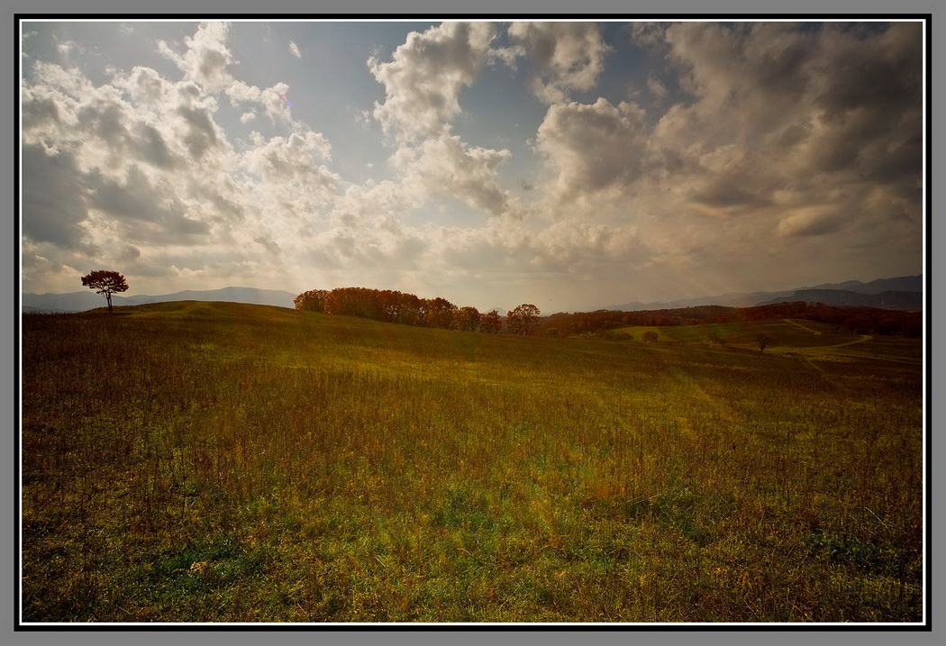 и небо свет свой прольет