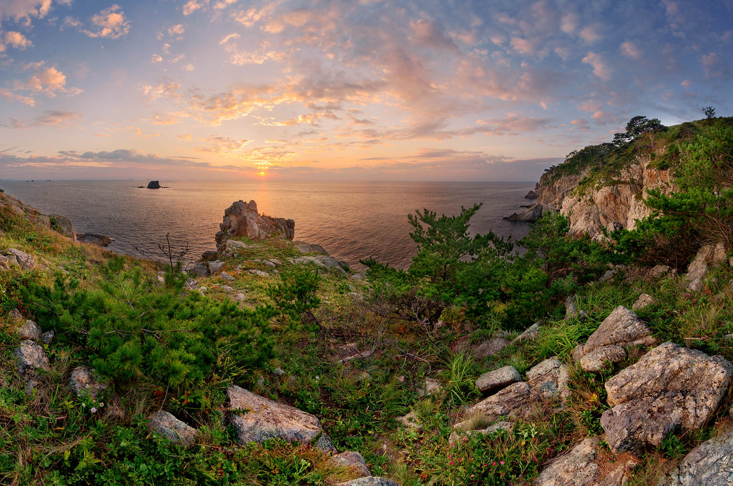 Сосны встречают рассвет 2