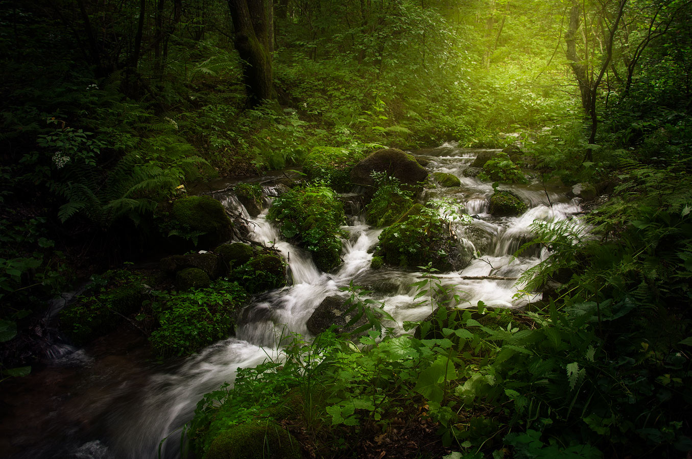 Таежный речеек