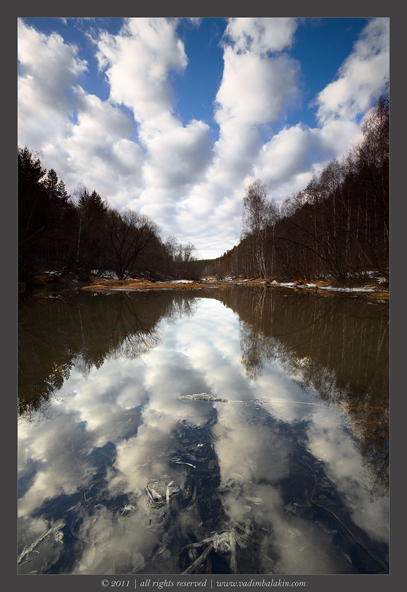 Отражения весны