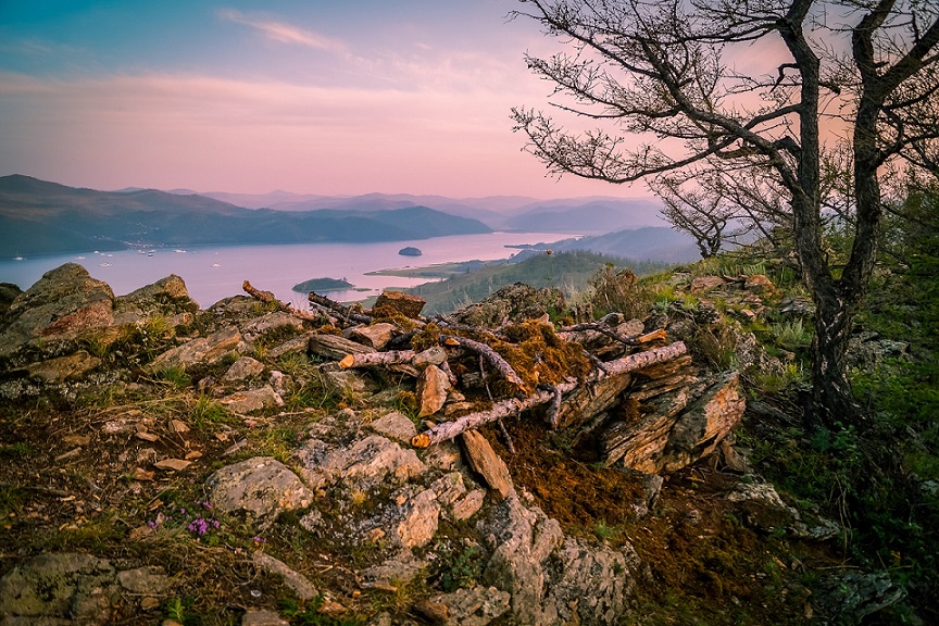 Ложе пастуха