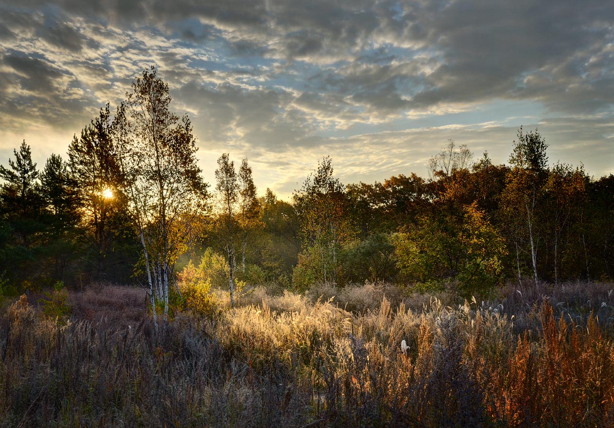 вечерние лучи