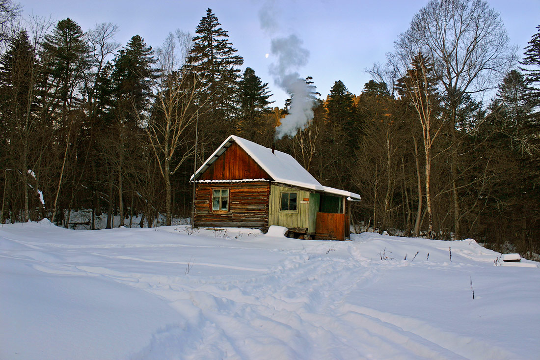 Вот так и зимуем