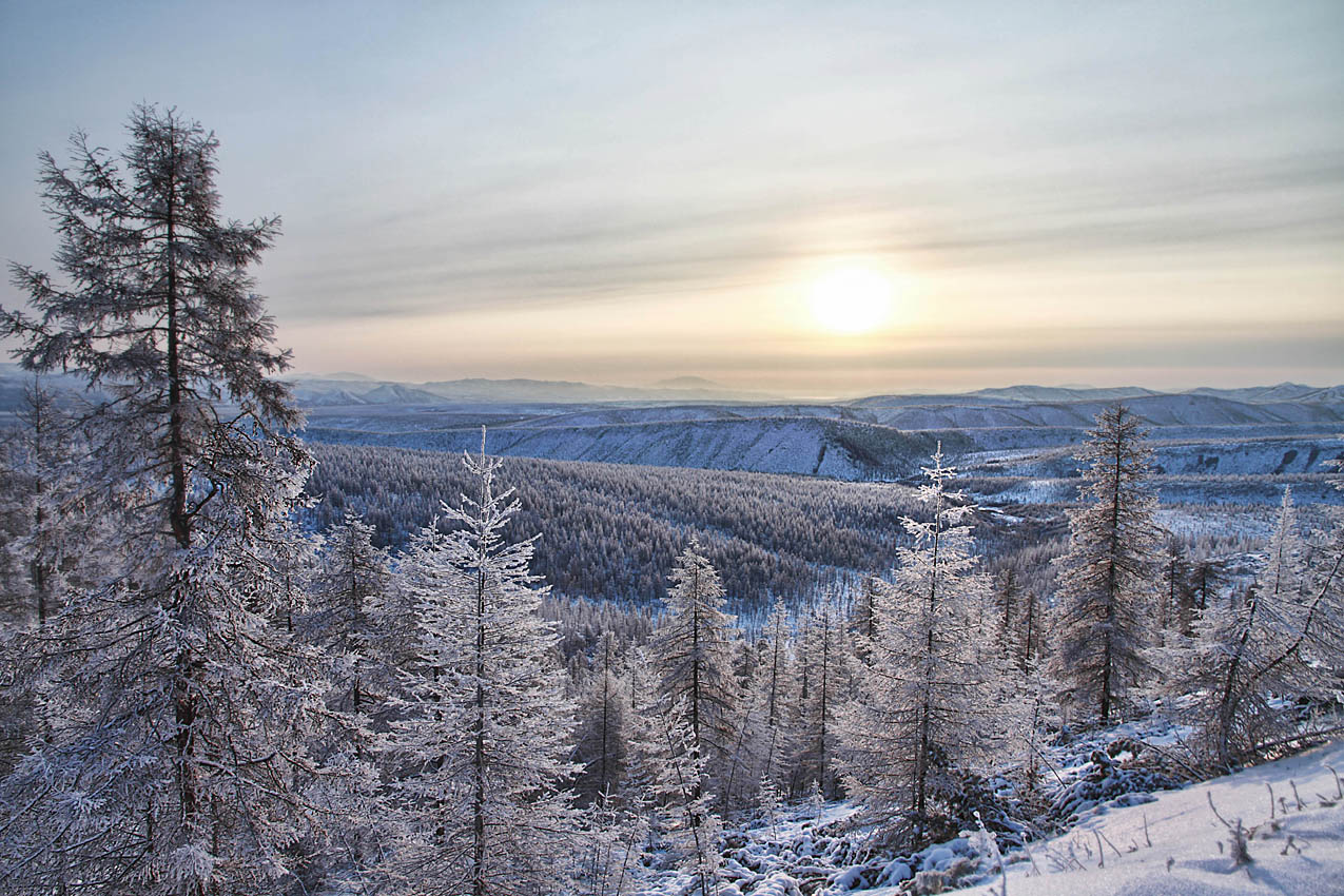 Безмолвный мир