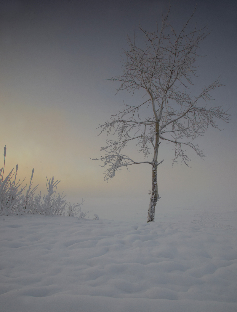 Утро, туман