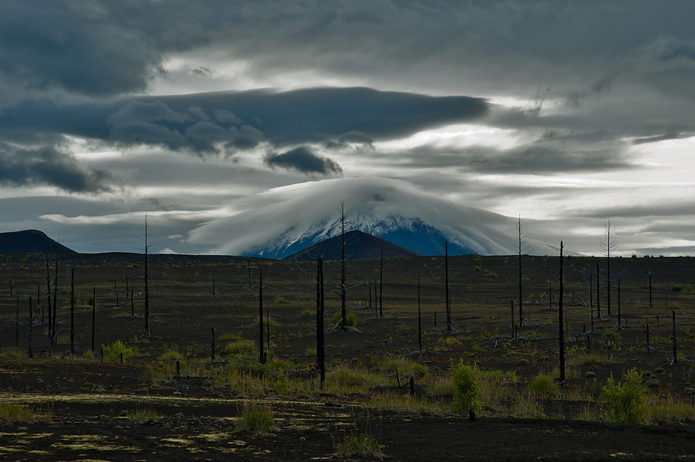 Толбачинский дол