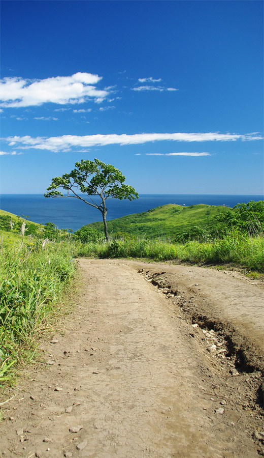 Дорога к морю...