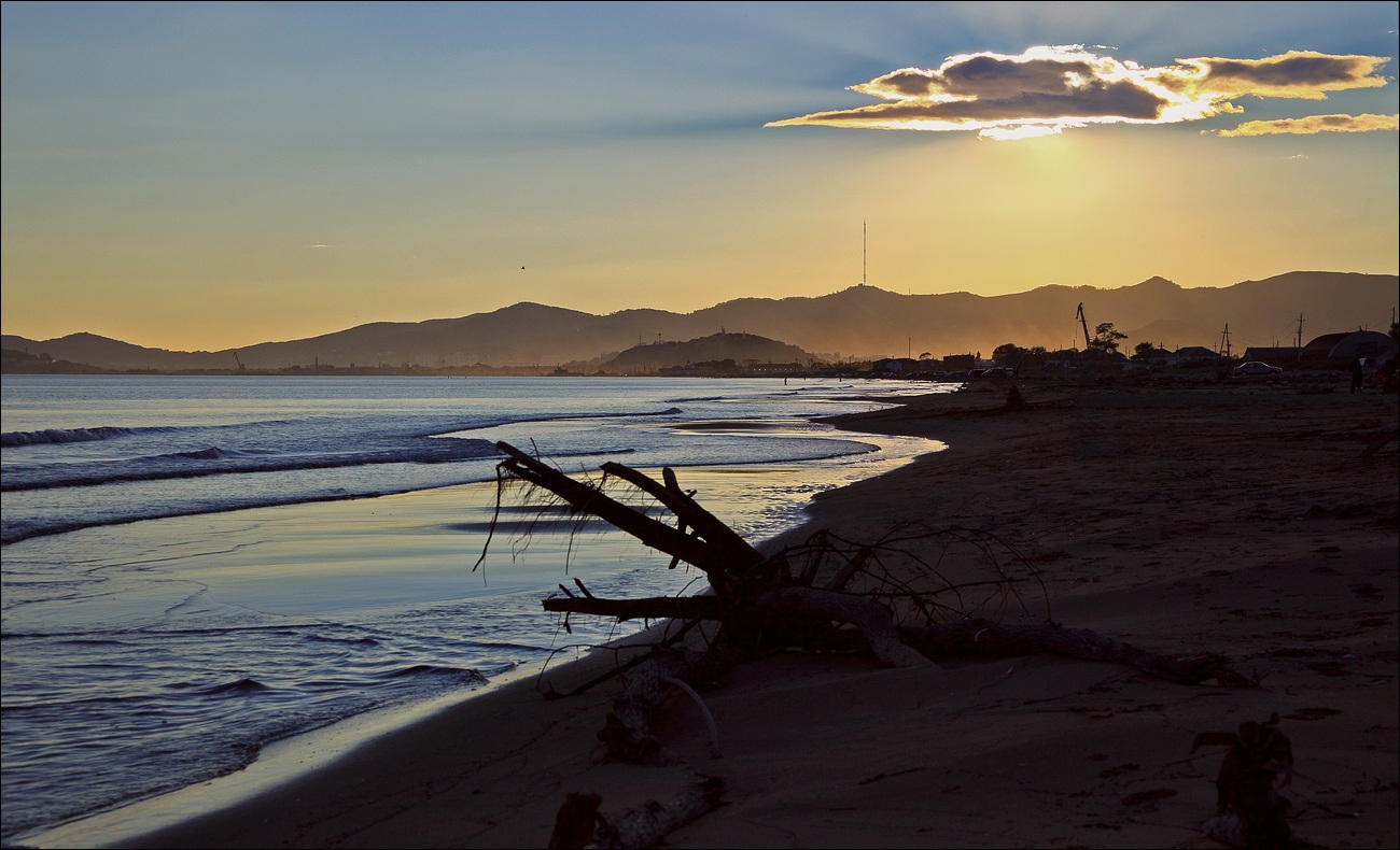 Корни из моря