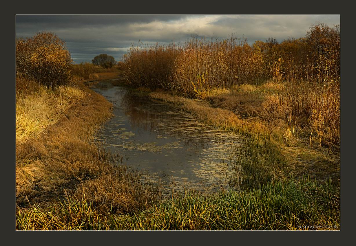 озеро осень. 7 окт. 2016