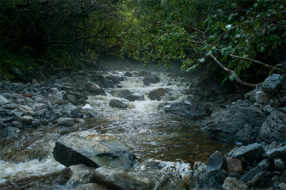 В гостях у Хариусов