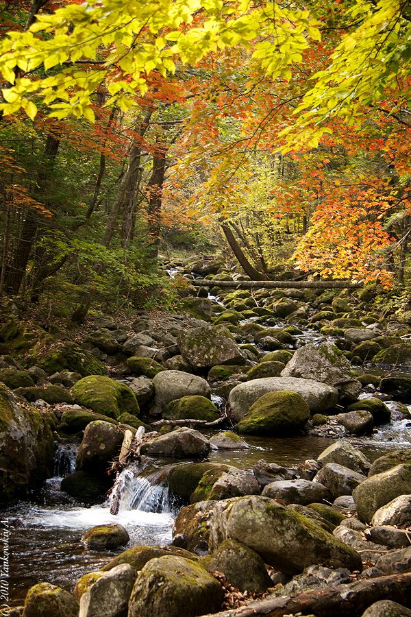 Ключ Смольный.