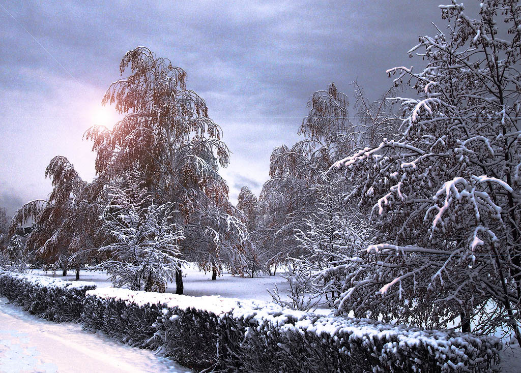 Зимний пейзаж