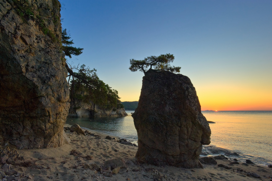 Бонсай по-приморски