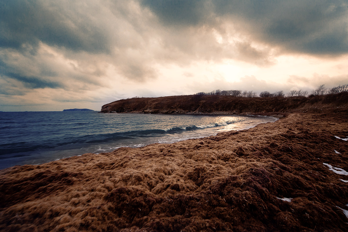 Пизаш про затейливый берех острова Русский