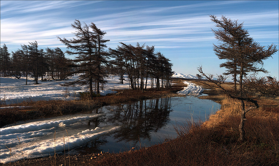 предчувствие весны