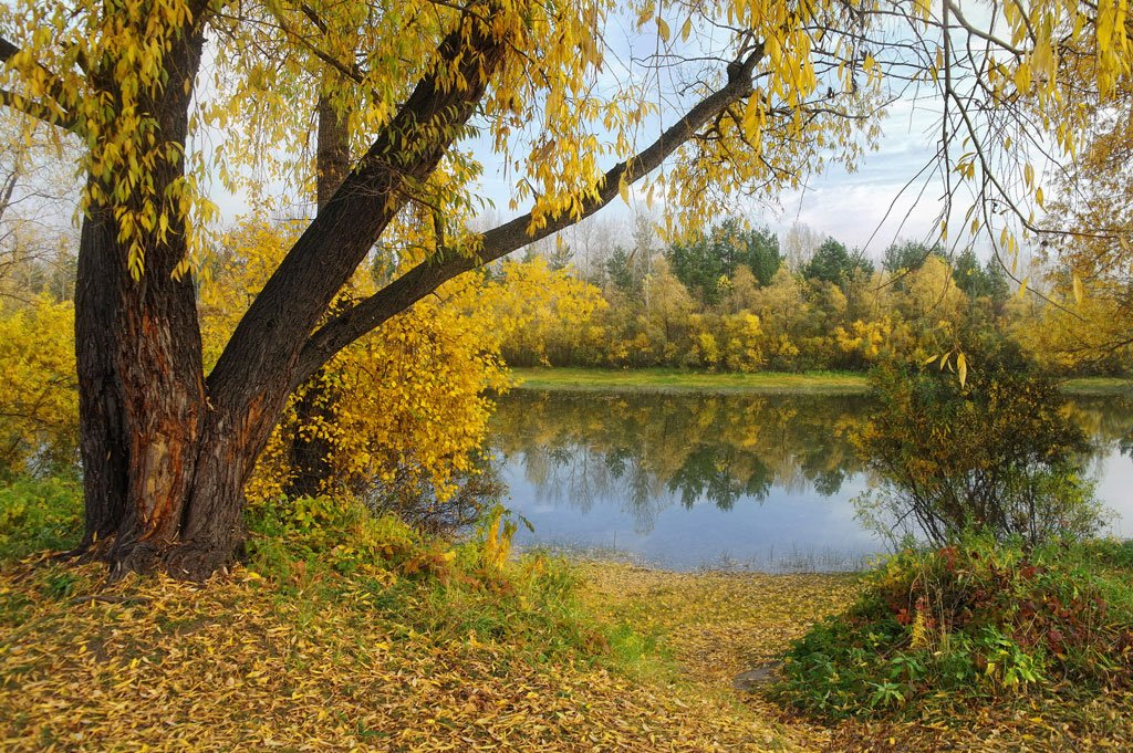 Сибирская осень