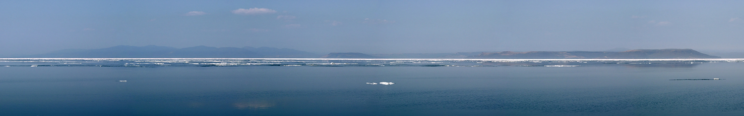 Тонкая белая линия